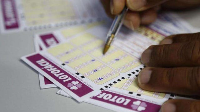 Quatro apostas acertam 15 dezenas da Lotofácil 3507 e levam mais de R$ 351 mil cada - Negócios - Diário do Nordeste