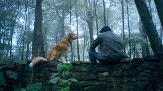 Ghost-sensing dog Indy with his troubled owner Todd (Shane Jensen) in Good Boy. Image: IFC FIlms
