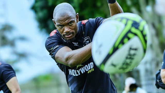 Sharks get Bok boost for Leinster clash