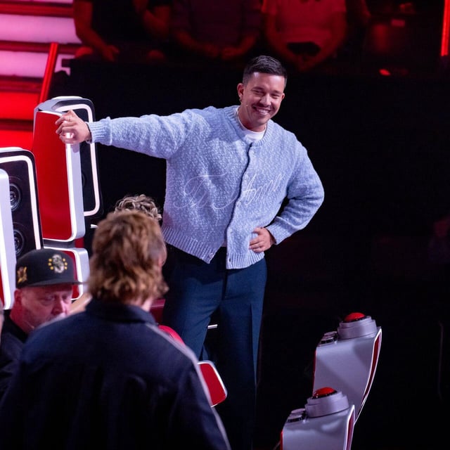 The Voice of Germany - Coaches