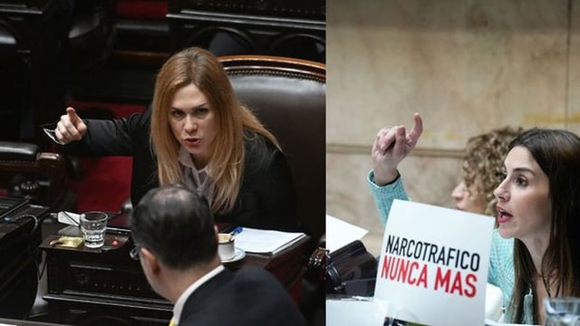 VIDEO: la escandalosa pelea entre Lilia Lemoine y Marcela Pagano en Diputados