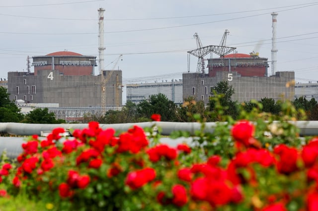 A view through flowers shows the Zaporizhzhia Nuclear Power Plant, including its Units No. 4 and 5, before the arrival of the International Atomic Energy Agency (IAEA) expert mission in the course of Russia-Ukraine conflict outside Enerhodar in the Zaporizhzhia region, Russian-controlled Ukraine, June 15, 2023. REUTERS/Alexander Ermochenko