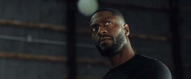 Aldis Hodge
