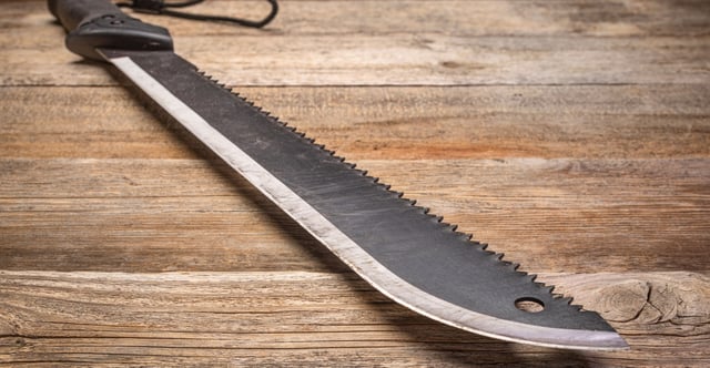 An illegal immigrant who had been previously detained and released was taken into custody again, this time last week near the U.S. Capitol. He was in possession of a machete, officials said. Pictured is a bush-clearing machete with a carbon steel blade. (Photo: Marekuliasz/ iStock/Getty Images)