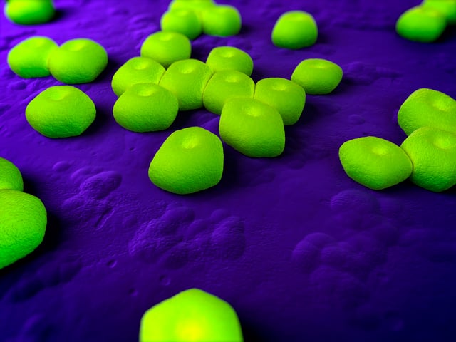 Researchers from Harvard University and Hoffmann-La Roche say they have developed an antibiotic to treat the highly resistant bacteria Acinetobacter baumannii.