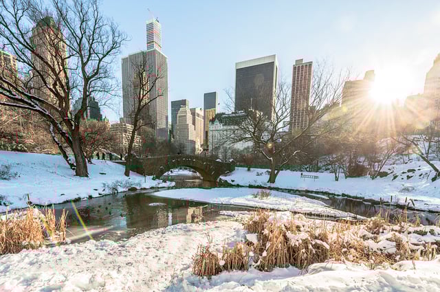 Central Park in winter.