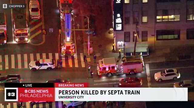 Man fatally struck by subway