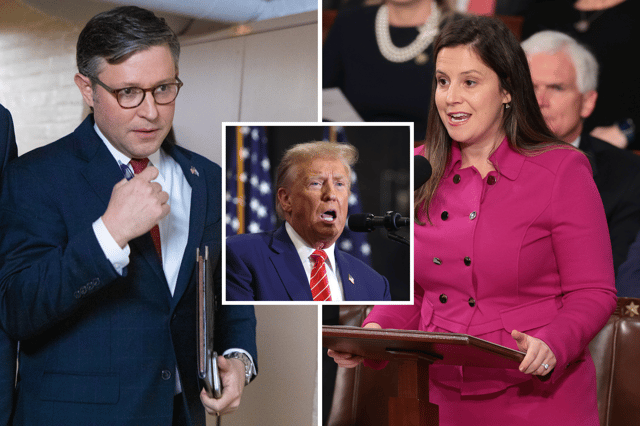 Johnson, Trump, Stefanik