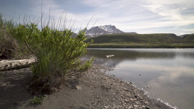 The Pebble Mine project near Bristol Bay has been halted.