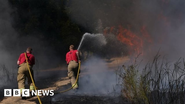Firefighters battle a grass fire on Leyton flats in east London in August 2022