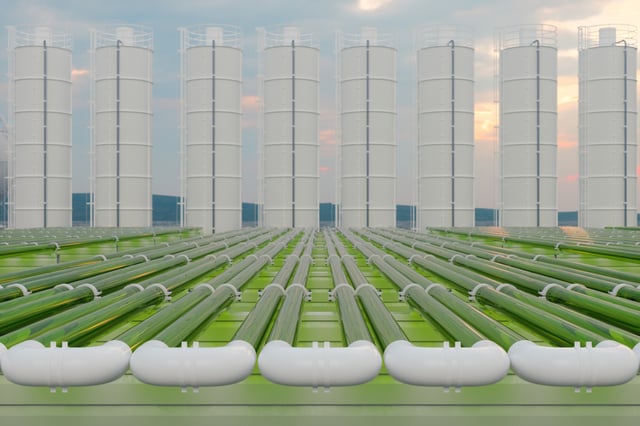 'World first': South Korea to tackle CO2 & saltwater with clever tech