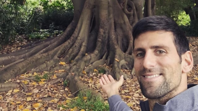 Novak Djokovic posted a photo of a tree that he called "his favorite friend from Melbourne" to his Instagram at the 2017 Australian Open.