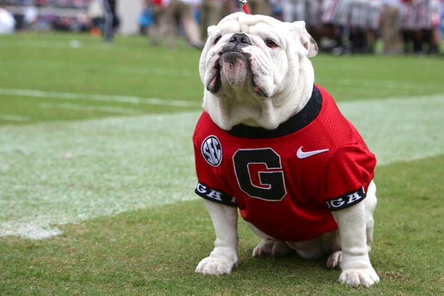 UGA X in Jacksonville, Fla., on Oct. 27, 2018.