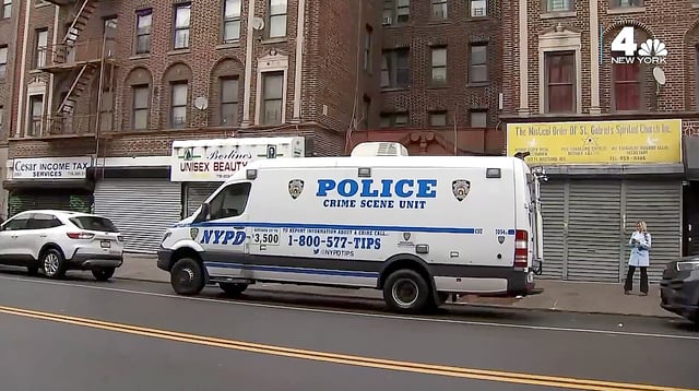 Human head found in Brooklyn