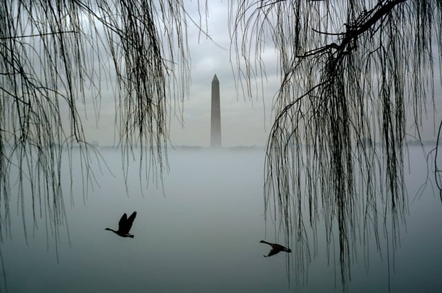 Geese fly past as the Washington Monument rises above fog blanketing the Potomac River on an unseasonably warm day in Washington, U.S., January 25, 2024.