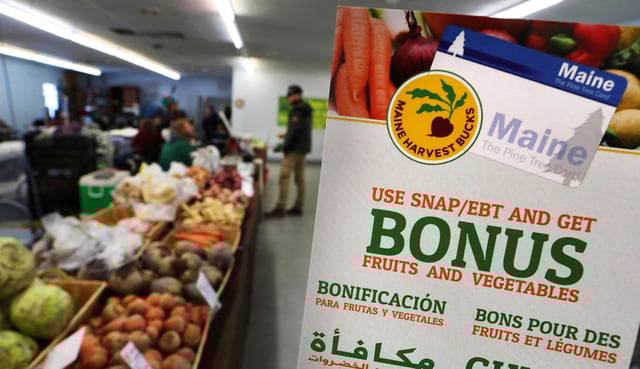 There are nearly 15 million able-bodied adults on food stamps, nearly four million of whom have no kids at home. (AP Photo/Robert F. Bukaty, File)