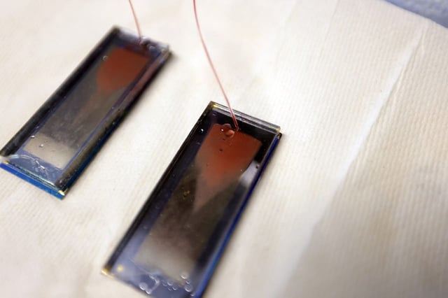 As blood flows through the GO chips, cancer cells stick to antibodies embedded in the chip. The antibodies specifically target cancer cells, so the sample is not contaminated with other parts of the blood. Credit: Brenda Ahearn, Michigan Engineering.