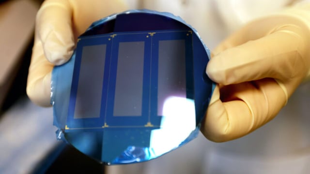 This chip assesses cancer treatment efficacy with a simple blood draw