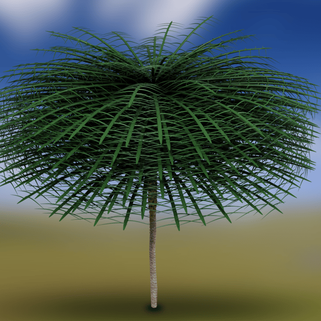 A 3D model of Sanfordiacaulis that provides an impression of the tree in life. This plant thrived around 350 million years ago in what is now New Brunswick, Canada.