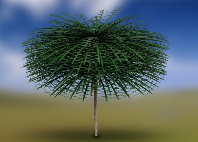 Model of a prehistoric tree species