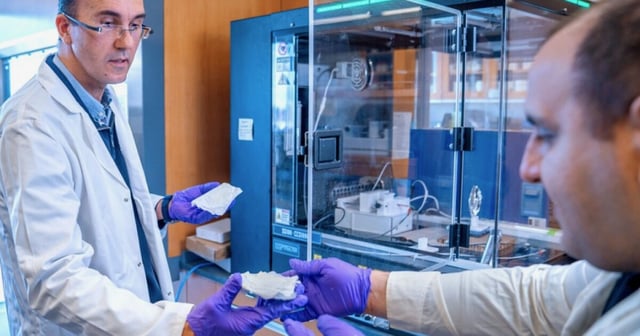 Assoc. Prof. Tamer Uyar (left) and doctoral student Mohsen Alishahi examine the cotton-based material