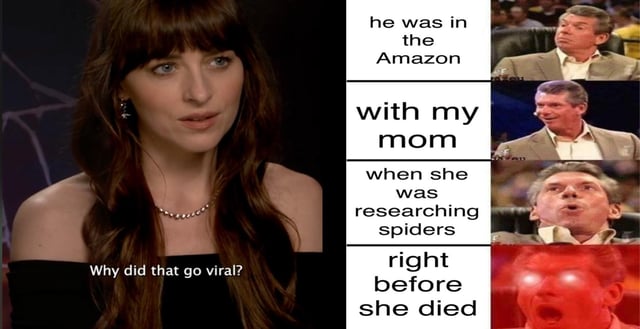 Dakota Johnson Refuses To Understand Viral 'Madame Web' Meme