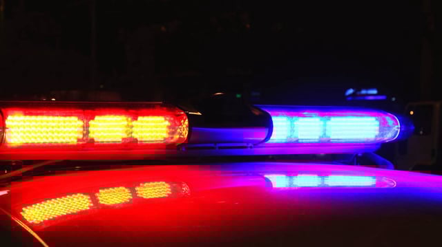 An accused car thief was shot to death in Houston, Texas, after breaking into a vehicle while the owner was asleep inside, officials say.