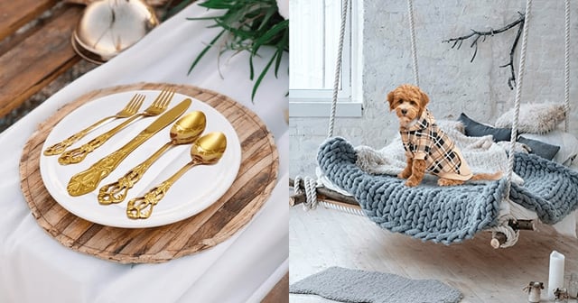 plate and dog jacket