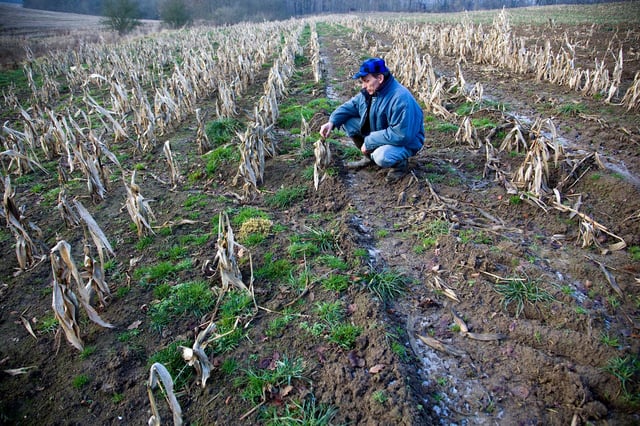 Agriculture Failed Crop