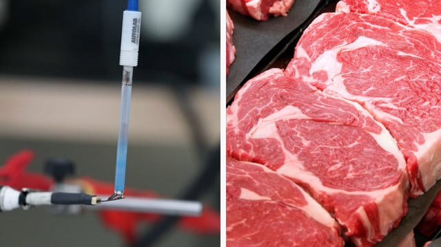 Dinner detective: New biosensor sniffs out spoiled meat instantly