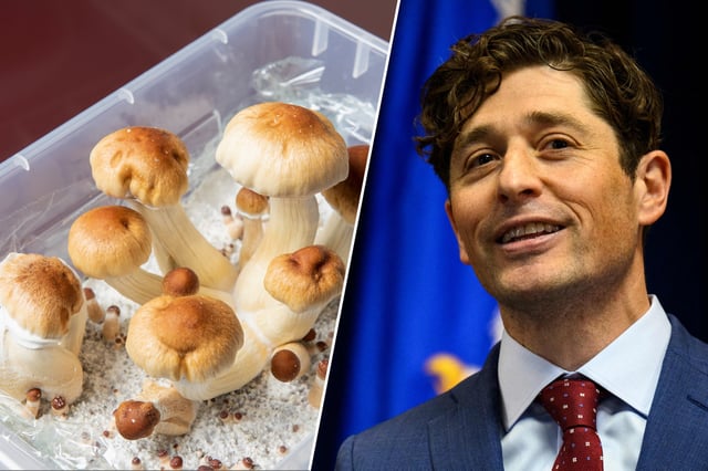 Psilocybe cubensis, Jacob Frey