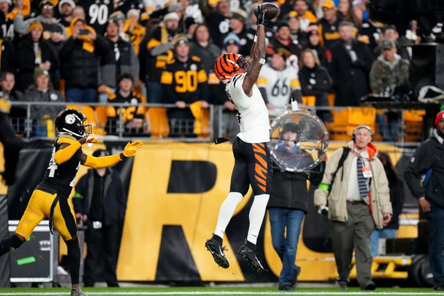 Tee Higgins has until