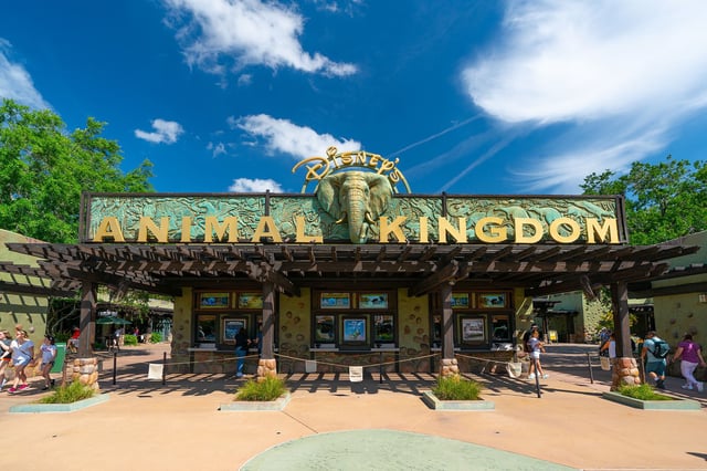 ORLANDO, FL - APRIL 03: General views of Animal Kingdom, at the Walt Disney World Resort on April 03, 2022 in Orlando, Florida.  (Photo by AaronP/Bauer-Griffin/GC Images)