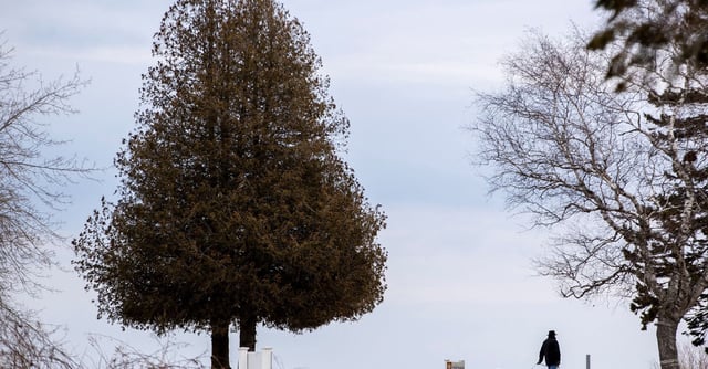 A person walks with a dog near the Mackinac Bridge, which spans the Straits of Mackinac between Lakes Michigan and Huron in Mackinaw City, Michigan, U.S. February 25, 2024.  REUTERS/Carlos Osorio/File Photo