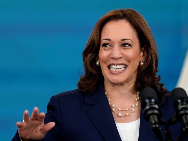 Vice President Kamala Harris speaks during the American Rescue Plan Workforce Summit held in the South Court Auditorium on the White House complex in Washington, Wednesday, July 13, 2022. (AP Photo/Susan Walsh)