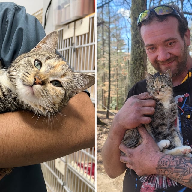 Lilly at the rescue, left, and a picture of the cat and her owner after being reunited, right.