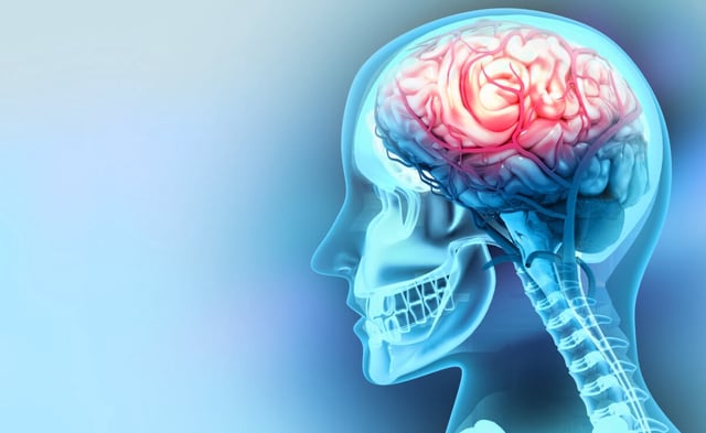 Human brain injury (© Crystal light - stock.adobe.com)