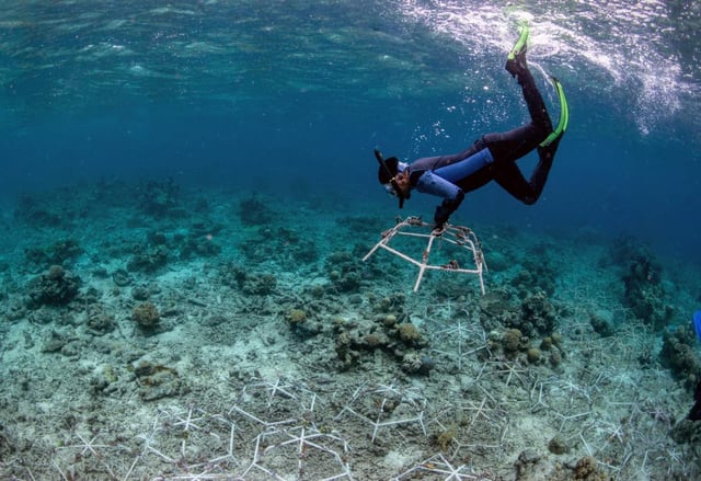A diver hold a metal reef star