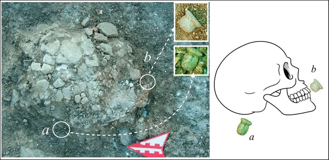Shown here is one of the skulls from Boncuklu Tarla as it was found in the grave, with artifacts nearby. The object labeled "a" is an ear piercing, and the one labeled "b" is a lip piercing called a labret.