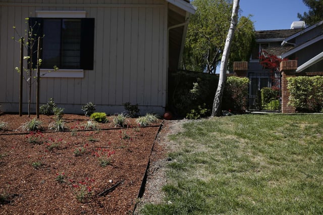 Neighboring lawns feature a drought-resistant landscaping model and a traditional grass landscaping model in the Danville area in 2016. A new water plan from the state spells out permanent water restrictions for cities across California.