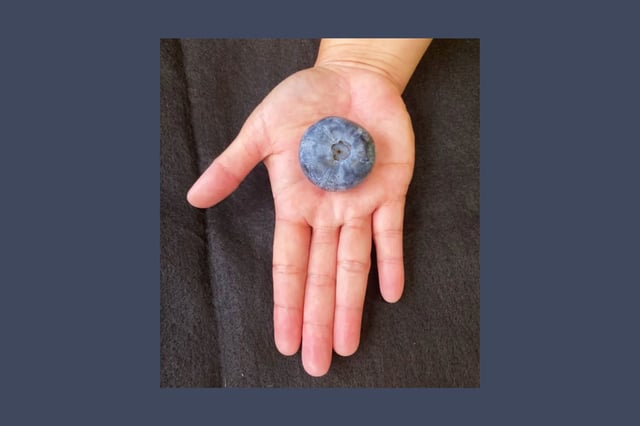 The record breaking blueberry, which weighs 0.71oz.