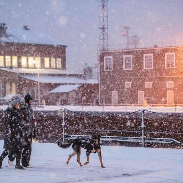 A couple walks a dog in the Navy Yard during a winter storm in Boston, Massachusetts on February 1, 2021. Heavy snowfall is forecast for New England this weekend.