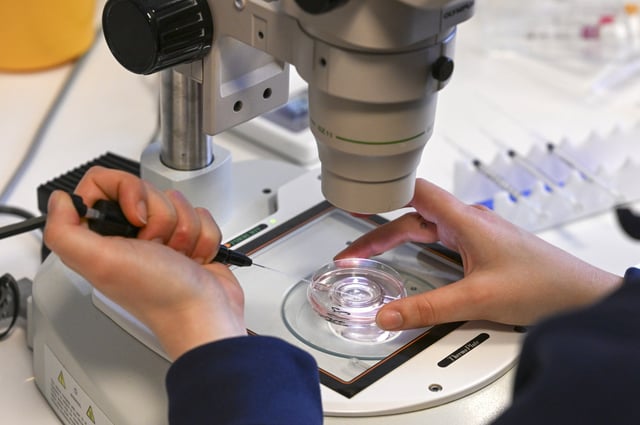 A technician prepare the fertilization of an egg cell under an electron microscope.