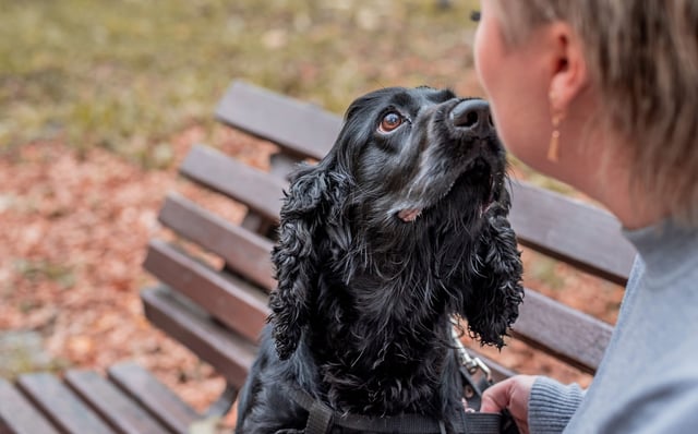 image: @Ilona Shorokhova | iStock