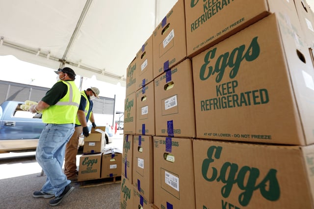 Cases of eggs from Cal-Maine Foods Inc. being handed out by the Mississippi Department of Agriculture and Commerce employees at the Mississippi State Fairgrounds in Jackson, Miss., in 2020. The largest producer of fresh eggs in the United States said Tuesday that it has stopped production at a Texas plant after bird flu was found in chickens there. Cal-Maine Foods, Inc. said in a statement that about 1.6 million laying hens and 337,000 pullets, about 3.6% of its total flock, were destroyed after the infection, avian influenza, was found at the facility in Parmer County, Texas. 