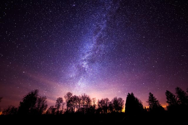 View of the Milky Way galaxy from Cherry Springs State Park in Pennsylvania. (© Ridall Photography - stock.adobe.com)