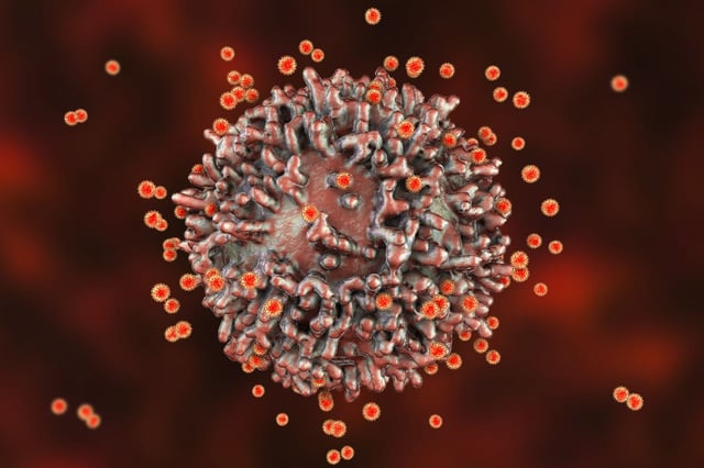 SARS-CoV-2 viruses and immune cell. Conceptual image illustrating antiviral immunity and vaccination.