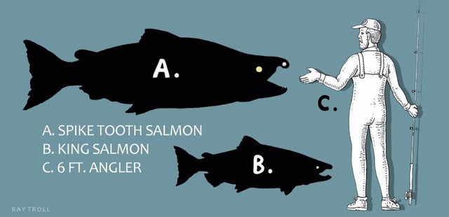 Spike tooth salmon