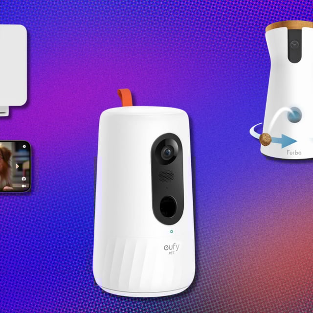 Snag a pet camera during Amazon Pet Day for up to 35% off. 