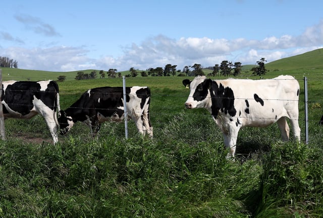 The US government announced new financial incentives for farms to test for and protect against H5N1 bird flu in dairy cattle.